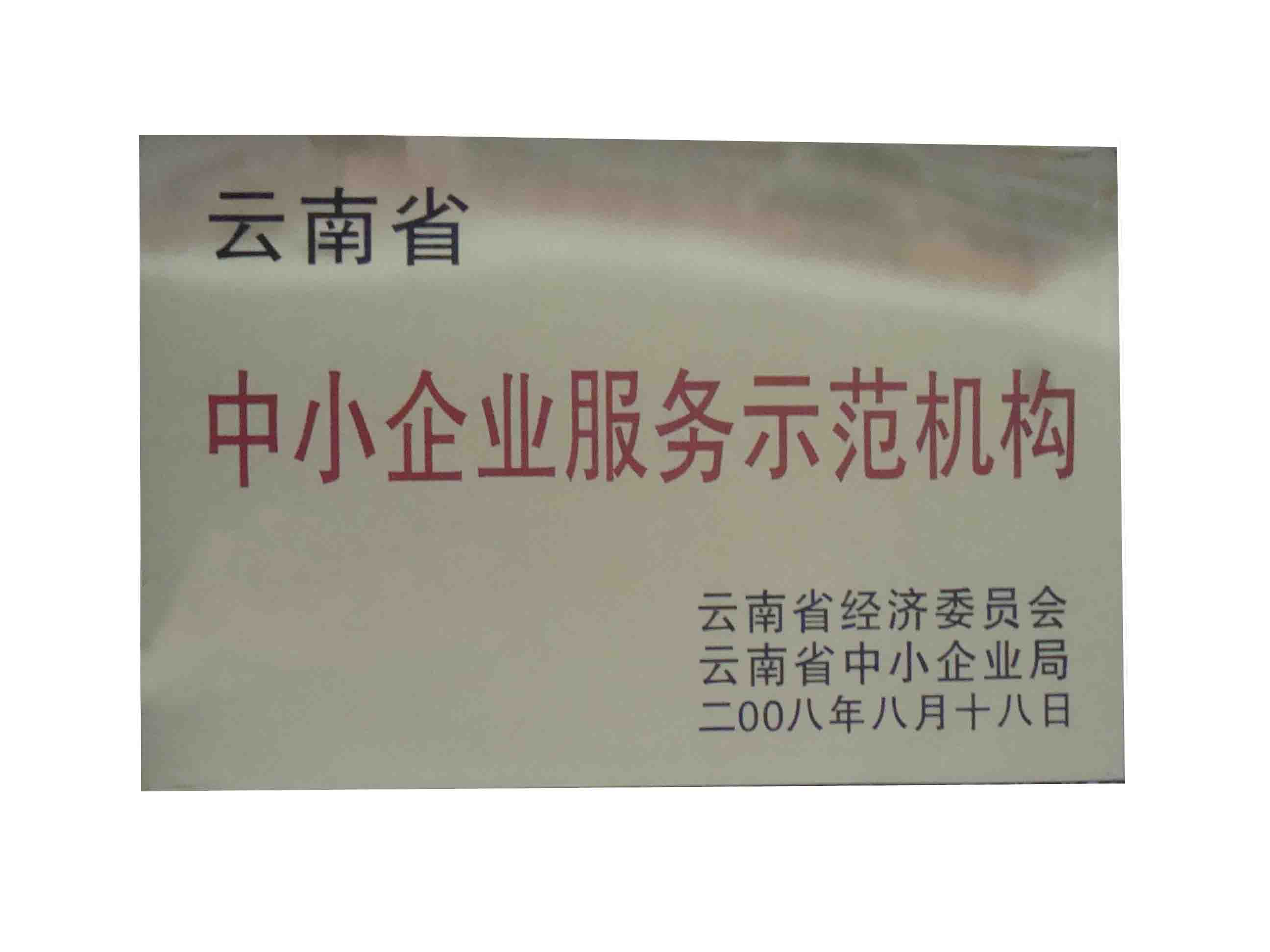 2.云南省中小企业示范机构奖牌..jpg